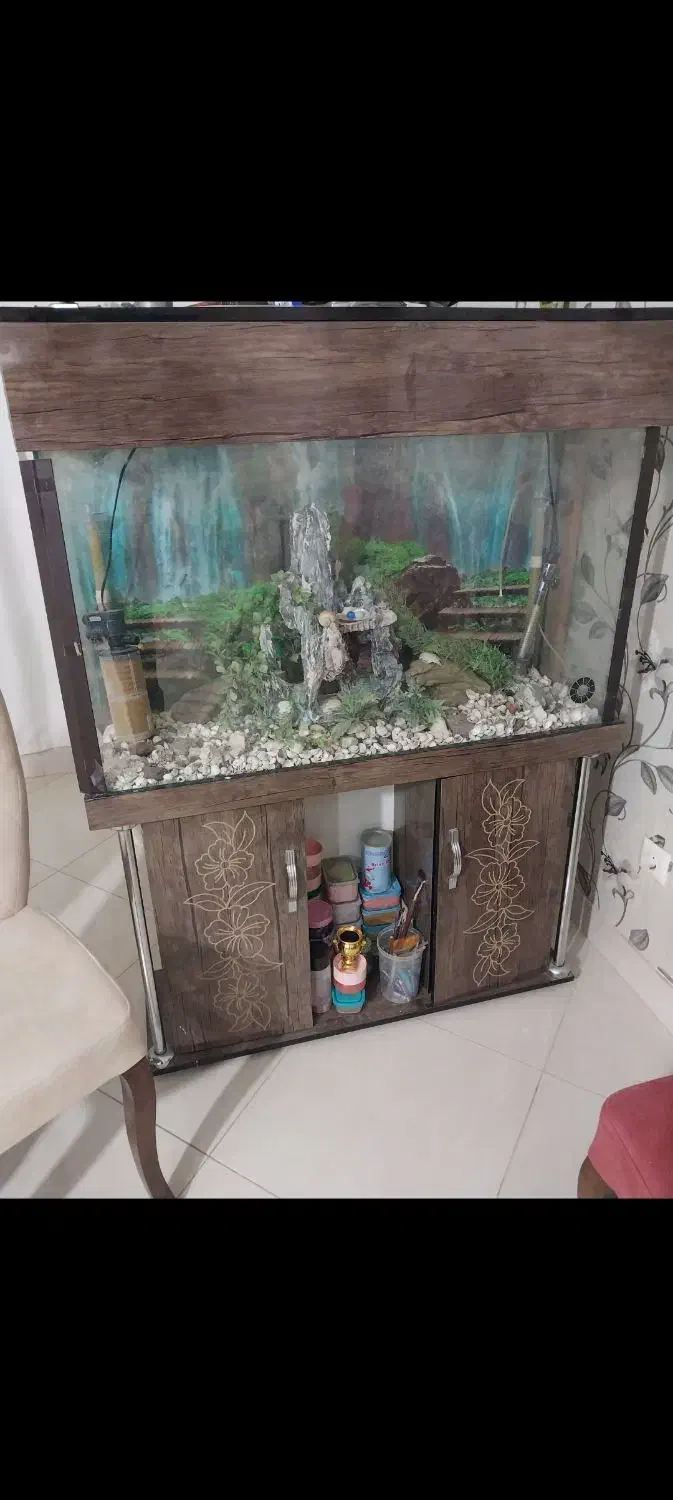 آکواریم|لوازم جانبی حیوانات|مشکین‌دشت, |دیوار