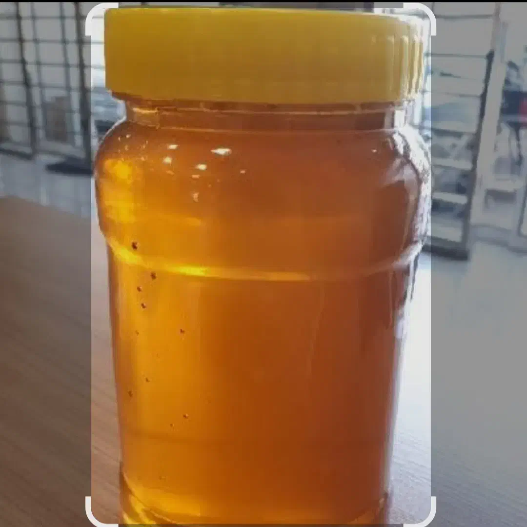 عسل شکری|خوردنی و آشامیدنی|اورامان, |دیوار