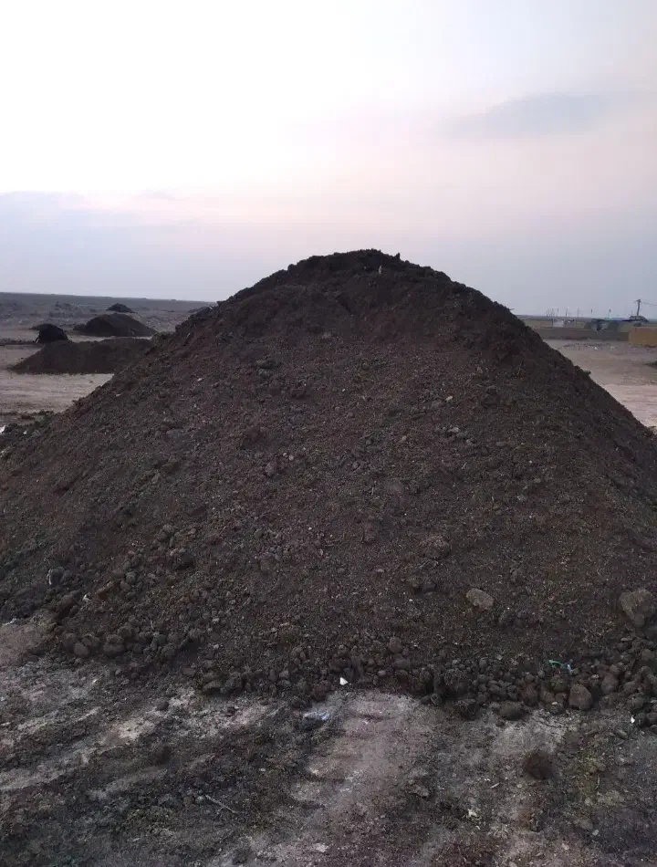 کود گاوی گوسفندی پوسیده|گل و گیاه طبیعی|هشتگرد, هشتگرد قدیم|دیوار