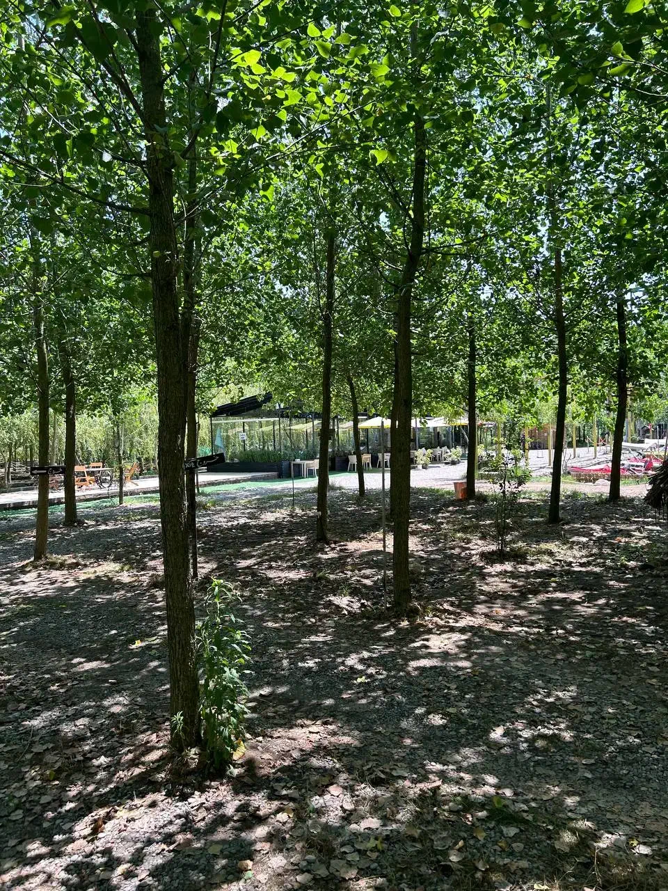 ویلای شیک رو با بهترین قیمت بخر|فروش خانه و ویلا|بافق, |دیوار