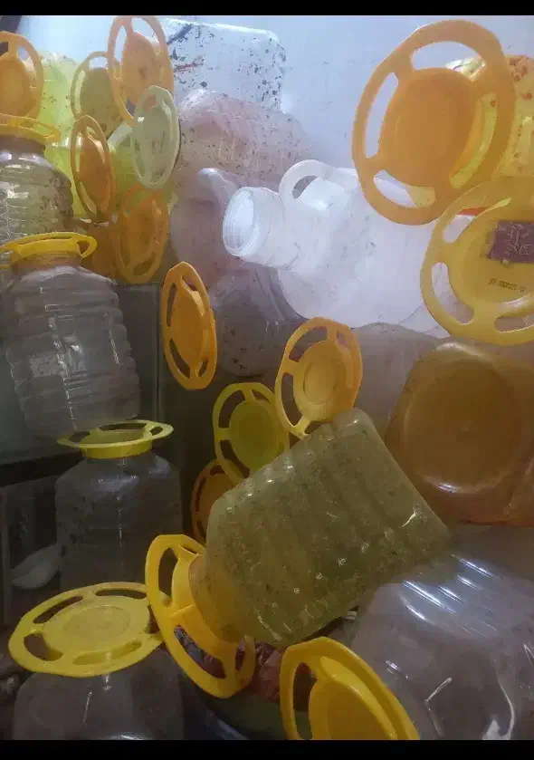 دبه خالی برای ترشی و خیارشور|ظروف نگهدارنده، پلاستیکی، یک‌بارمصرف|آستارا, |دیوار