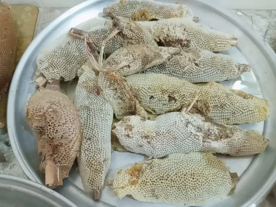 عسل درجه یک خوزستان|خوردنی و آشامیدنی|تهران, تهرانپارس جنوبی|دیوار