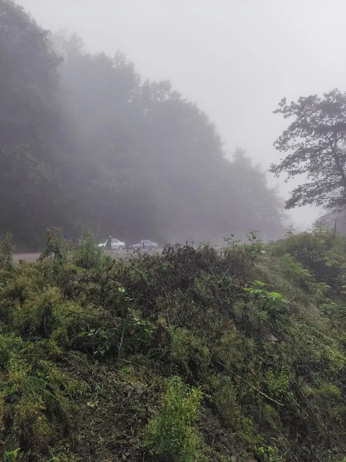 بهترین موقعیت سرمایه گذاری باغ جاده دانشگاه|فروش دفتر صنعتی، کشاورزی، تجاری|ابهر, |دیوار