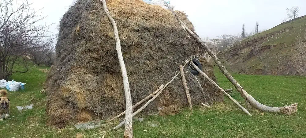 علوفه فروشی|عمده‌فروشی|اردبیل, |دیوار