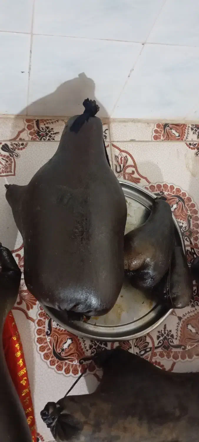 هیزه نو|ظروف نگهدارنده، پلاستیکی، یکبارمصرف|نورآباد, |دیوار