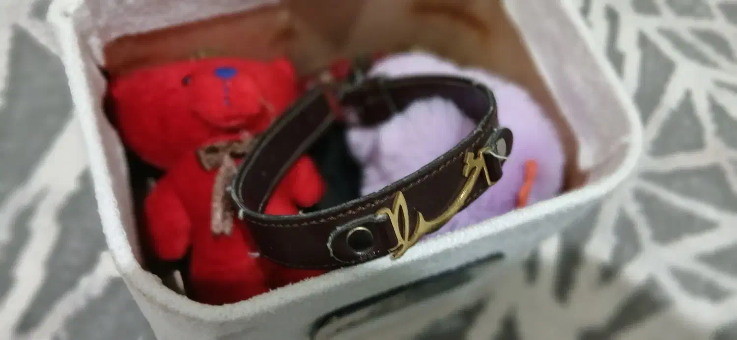 پک دست بند خرس|بدلیجات|فردیس, شهرک ۱۱۰|دیوار