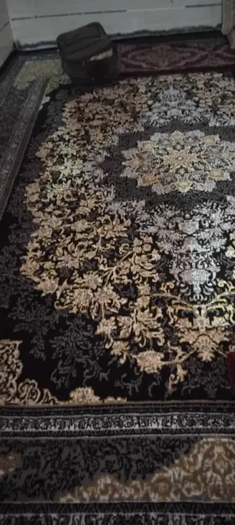 فرش فردین|فرش|بم, |دیوار