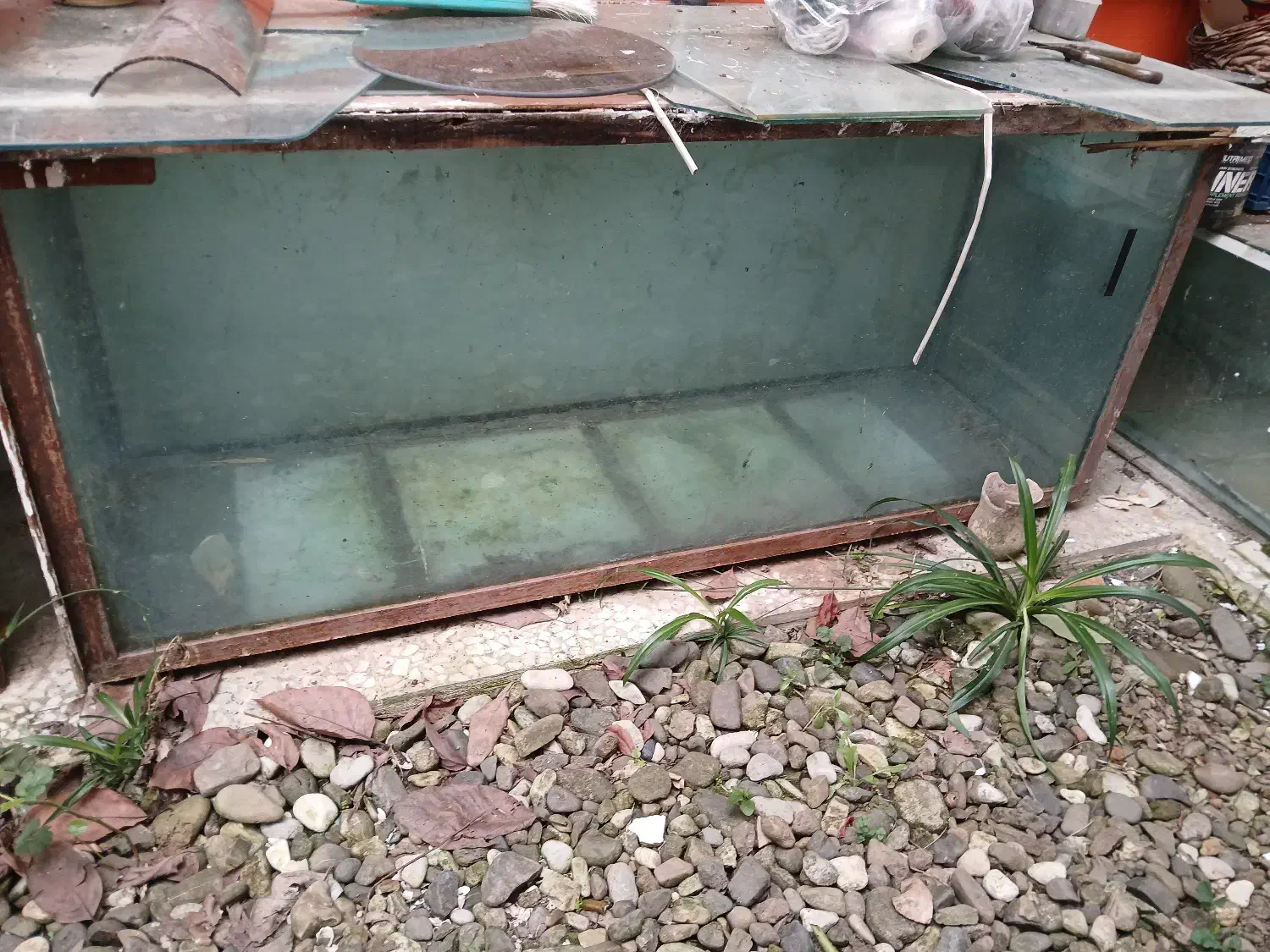 آکواریوم بزرگ با پایه|ماهی|رضوانشهر, |دیوار