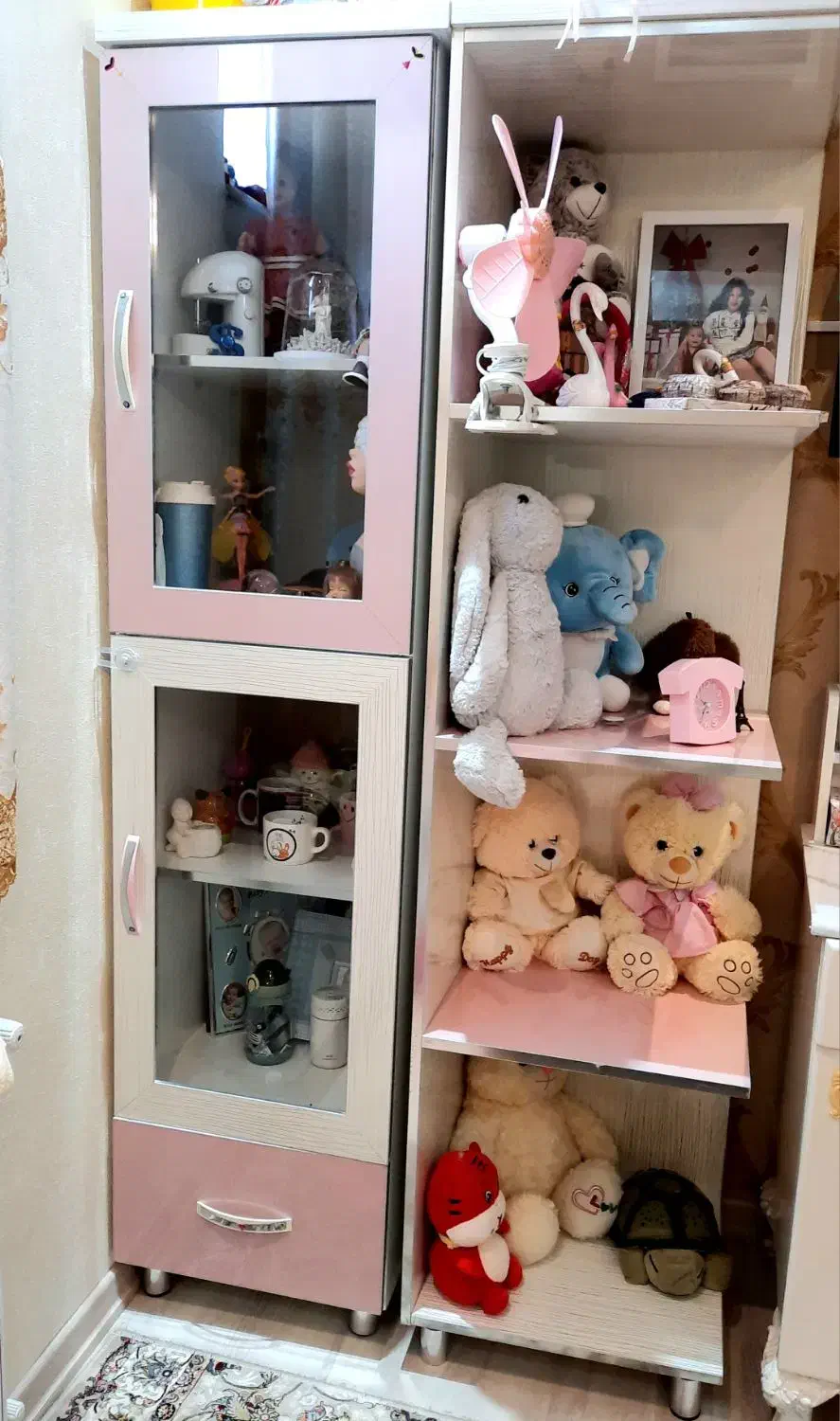 بوفه و کتابخانه|کتابخانه، شلف، قفسههای دیواری|اردبیل, |دیوار