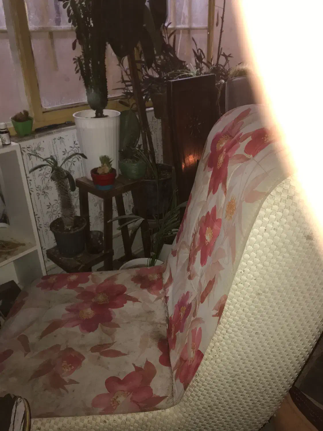 صندلی|صندلی و نیمکت|گلبهار, شهر جدید گلبهار|دیوار