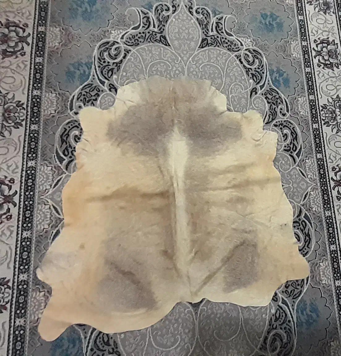 پوست دباغی شده گوساله خوش رنگ  صحنه|صنایع دستی و سایر لوازم تزئینی|صحنه, |دیوار