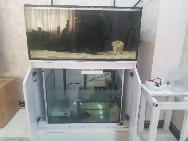 معاوضه آکواریوم آب شور با تانک کوچکتر|ماهی|بندرعباس, |دیوار