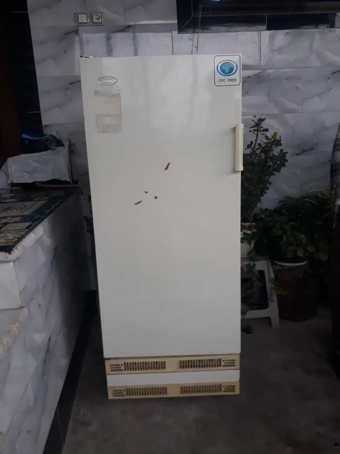 فریزر جنرال استیل|یخچال و فریزر|آستانه اشرفیه, |دیوار