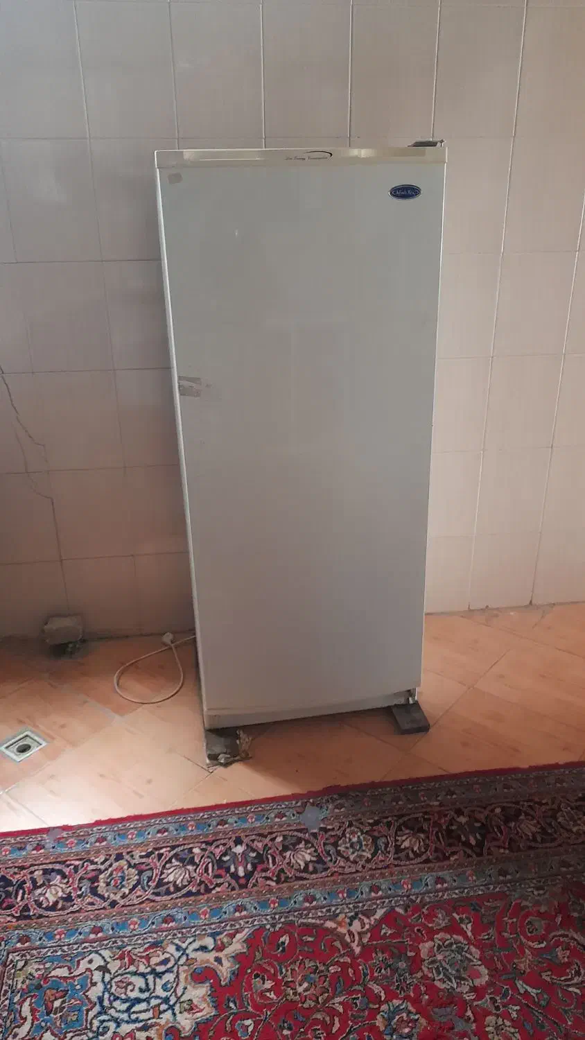 فرش، یخچال، گاز|فرش|بروجرد, |دیوار