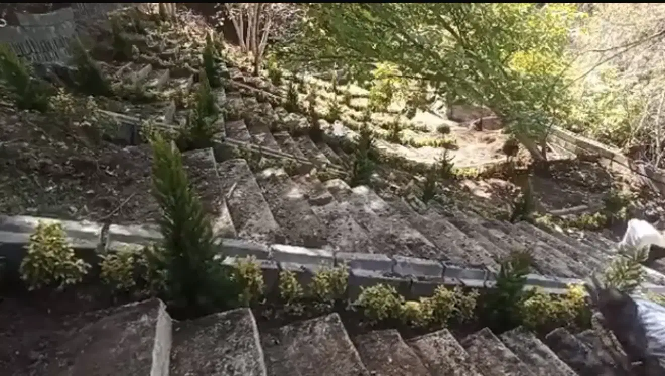 ۱۰۰۰ متر روستا ایول|فروش زمین و ملک کلنگی|کیاسر, |دیوار