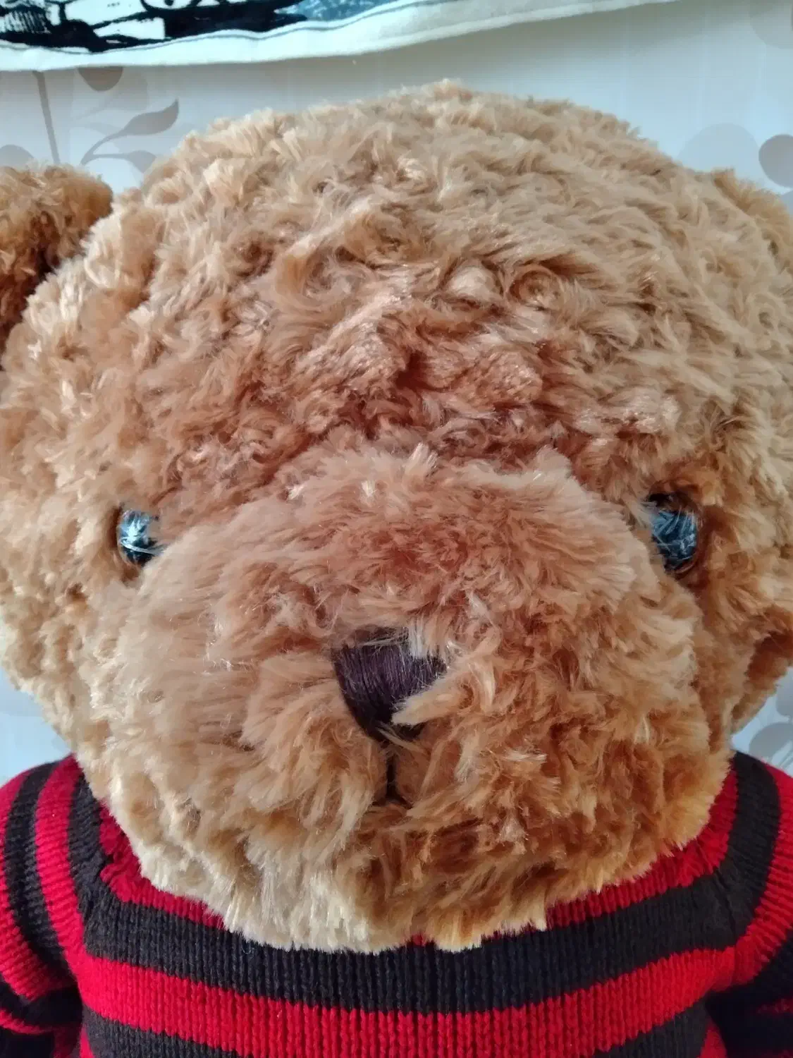 خرس کادویی|کلکسیون و سرگرمی|تهران, شهر زیبا|دیوار