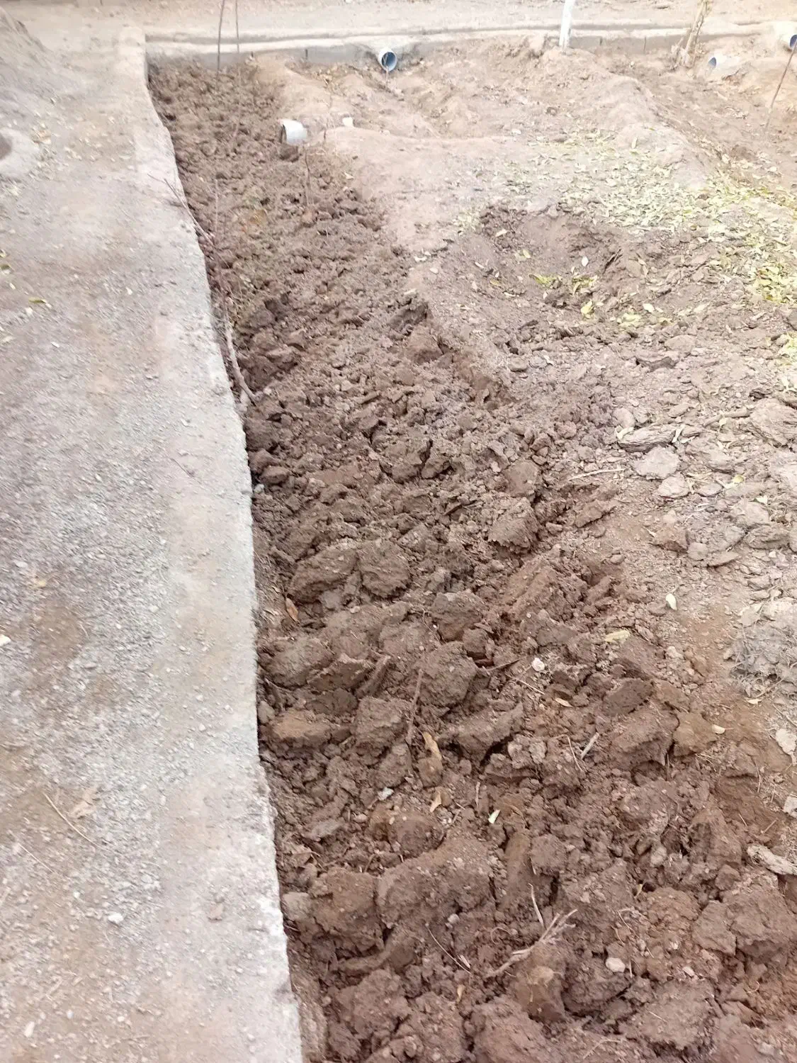 باغبان|خدمات باغبانی و درختکاری|تبریز, |دیوار