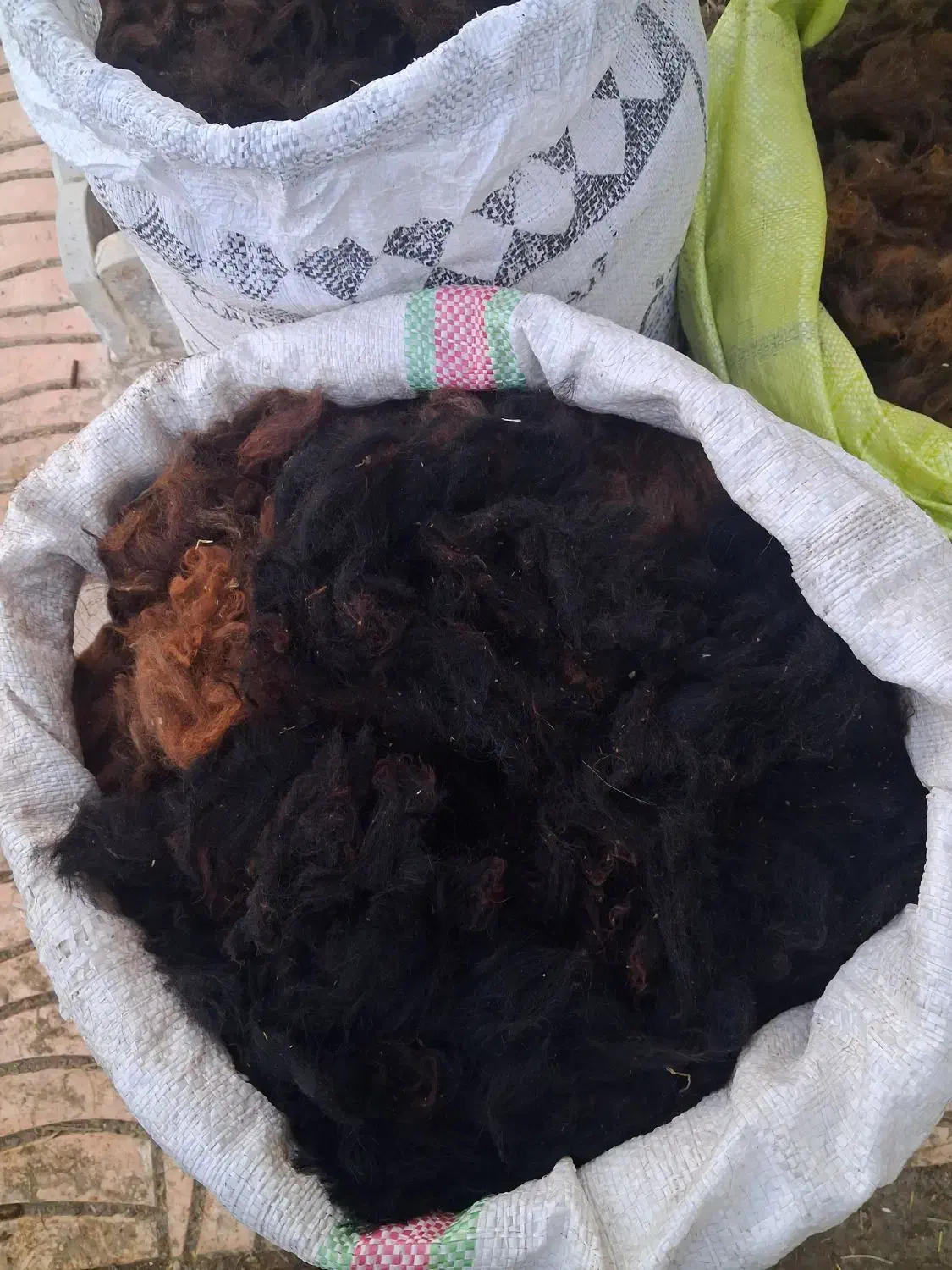 پشمگوسفند|لوازم جانبی حیوانات|چهاربرج, |دیوار