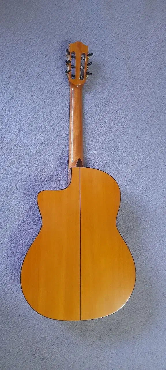 گیتار فلامنکو کوردوبا پیکاپدار|گیتار، بیس، امپلیفایر|تهران, سعادتآباد|دیوار