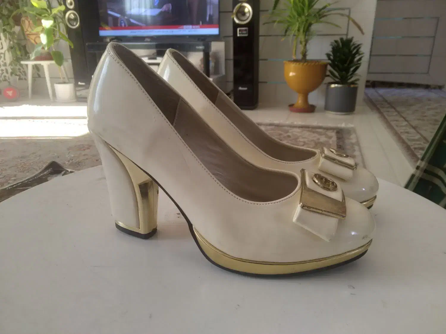 کفش مجلسی زنانه|کیف، کفش، کمربند|فلاورجان, |دیوار