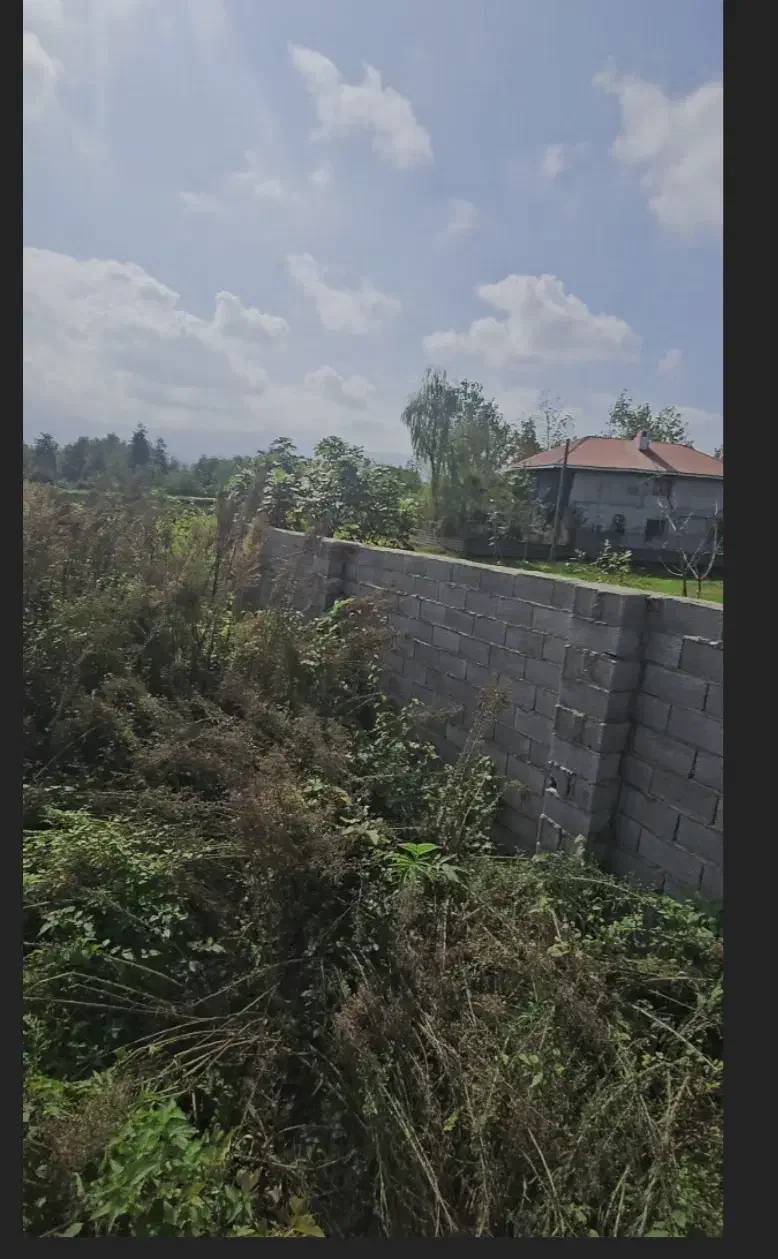 زمین مسکونی لاهیجان پروانه ساخت ویو ابدی|فروش زمین و ملک کلنگی|لاهیجان, بوجایه|دیوار