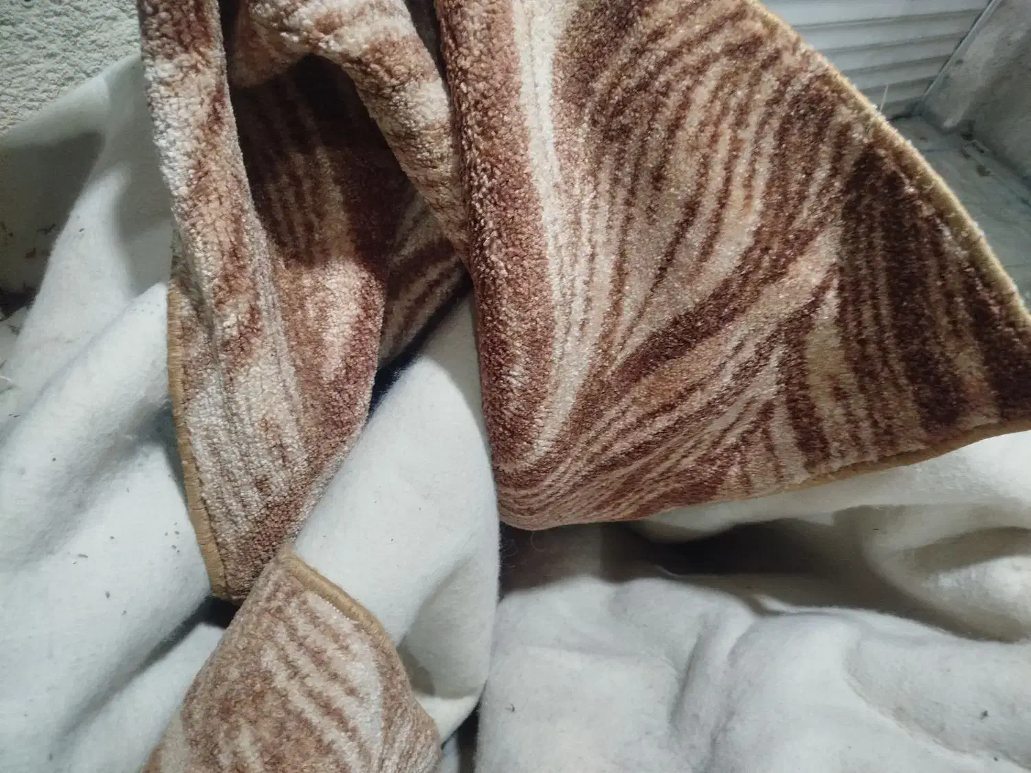 موکت ۱۲متری|موکت|فردیس, داوری|دیوار