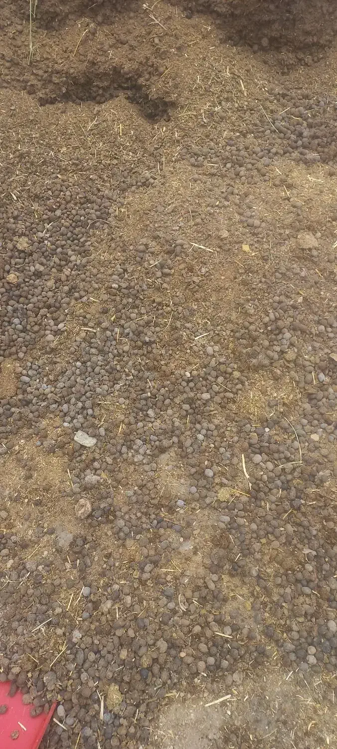 کود حیوانی گوسفندی کهنه پشکل قدیمی درجه یک|خدمات باغبانی و درختکاری|نورآباد, |دیوار