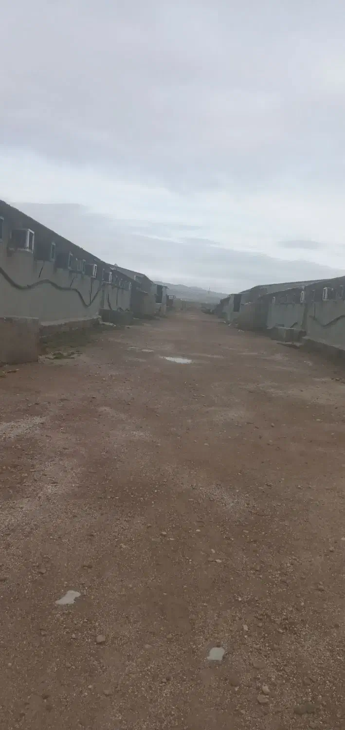 مرغداری ۴۰هزارتایی|فروش دفتر صنعتی، کشاورزی، تجاری|ابهر, |دیوار