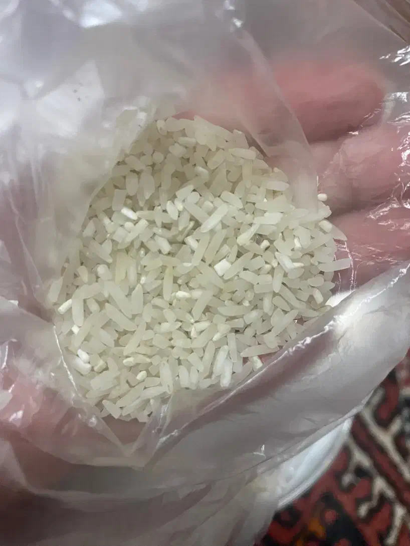 لاشه دم سیاه|خوردنی و آشامیدنی|گنبد کاووس, |دیوار