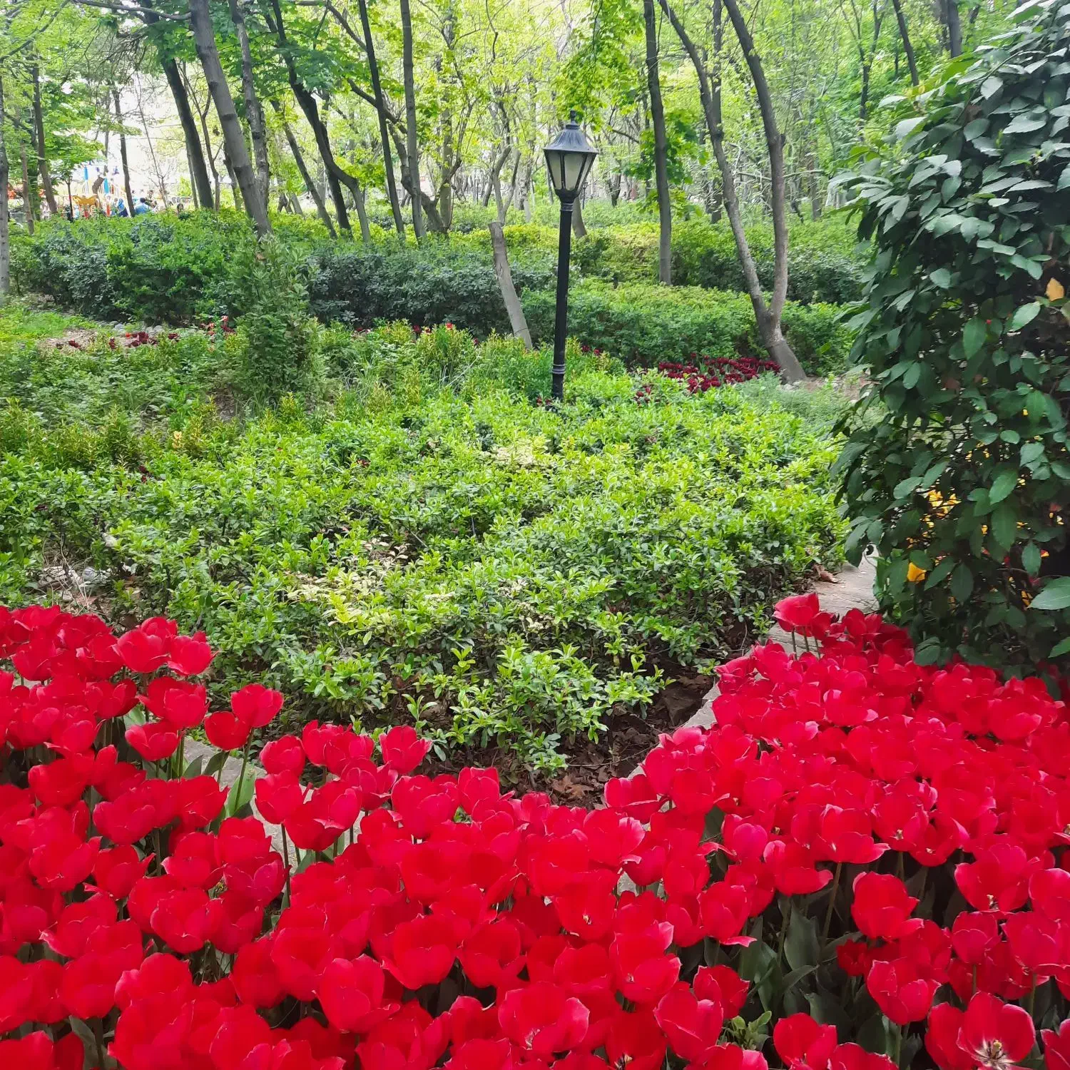 همراهی هنرمندانه|فعالیت داوطلبانه|تهران, میدان ولیعصر|دیوار