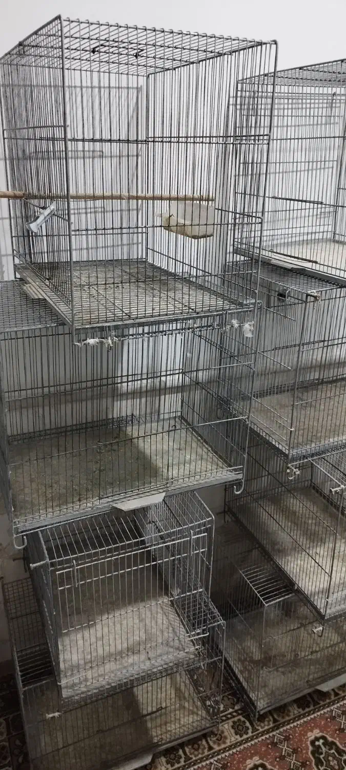 قفس پرنده،لانه،لونه،|لوازم جانبی حیوانات|قم, شهرک مهدیه (مدرس)|دیوار