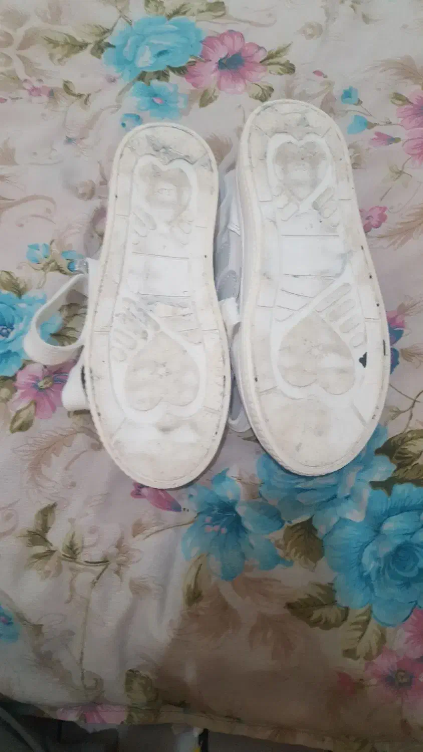 نیم بوت|کیف، کفش، کمربند|اصفهان, پروین|دیوار