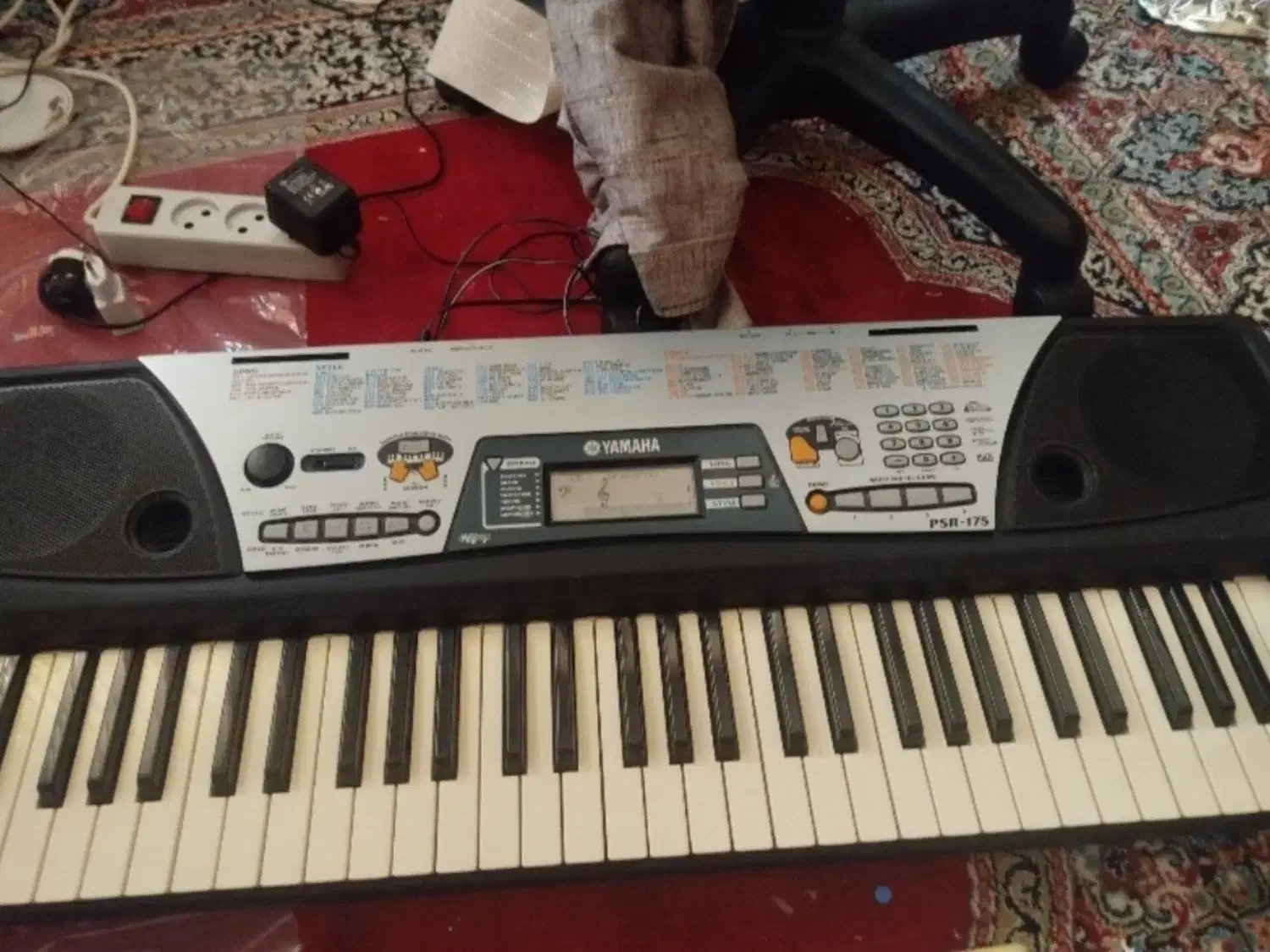 فروش و معاوضه با طوطی سانان هم قیمت|پیانو، کیبورد، آکاردئون|اردبیل, |دیوار