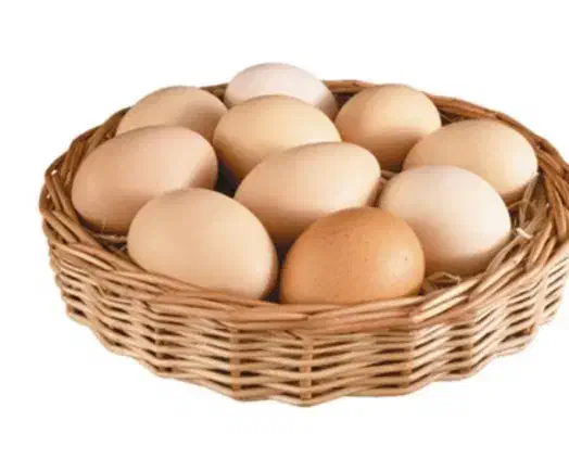 تخم مرغ محلی|خوردنی و آشامیدنی|مراغه, |دیوار