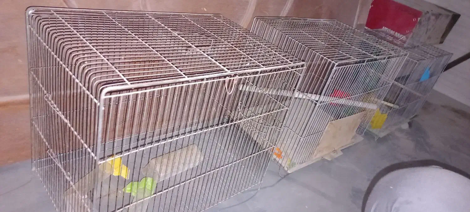 ۳عدد قفس پرنده|لوازم جانبی حیوانات|کرمانشاه, |دیوار
