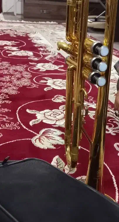 شیپوریاماها|سازهای بادی|خمینی‌شهر, |دیوار