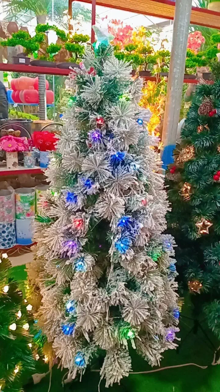 وارد کننده کاج کریسمس|گل مصنوعی|پاکدشت, پاکدشت (مامازند)|دیوار