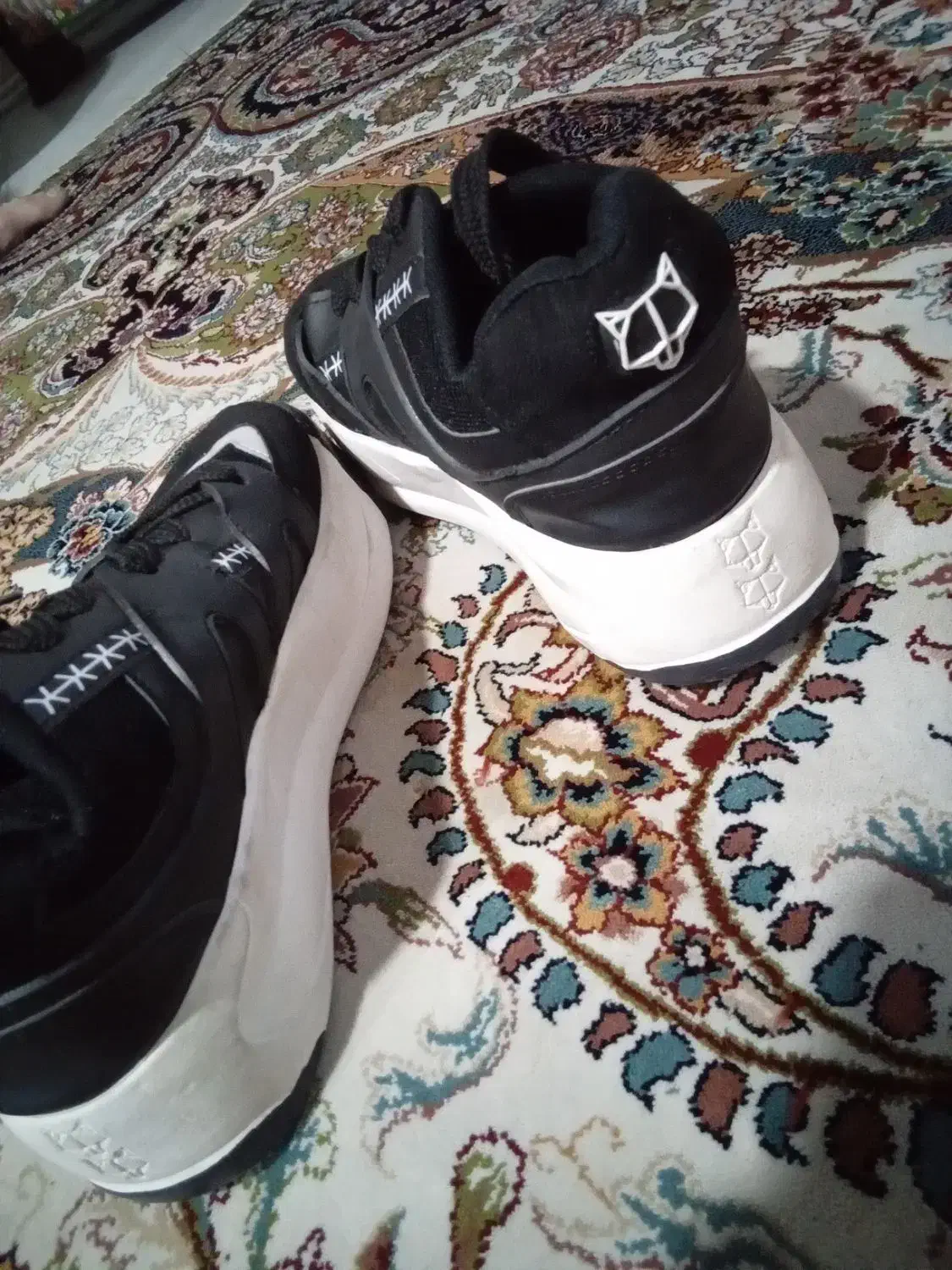 کتونی وولف ویتنام|کیف، کفش، کمربند|گرمدره, |دیوار