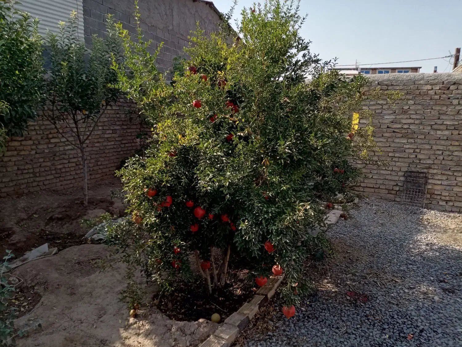 راهنمای اسکان (سرا یدار)|فعالیت داوطلبانه|زاویه, |دیوار