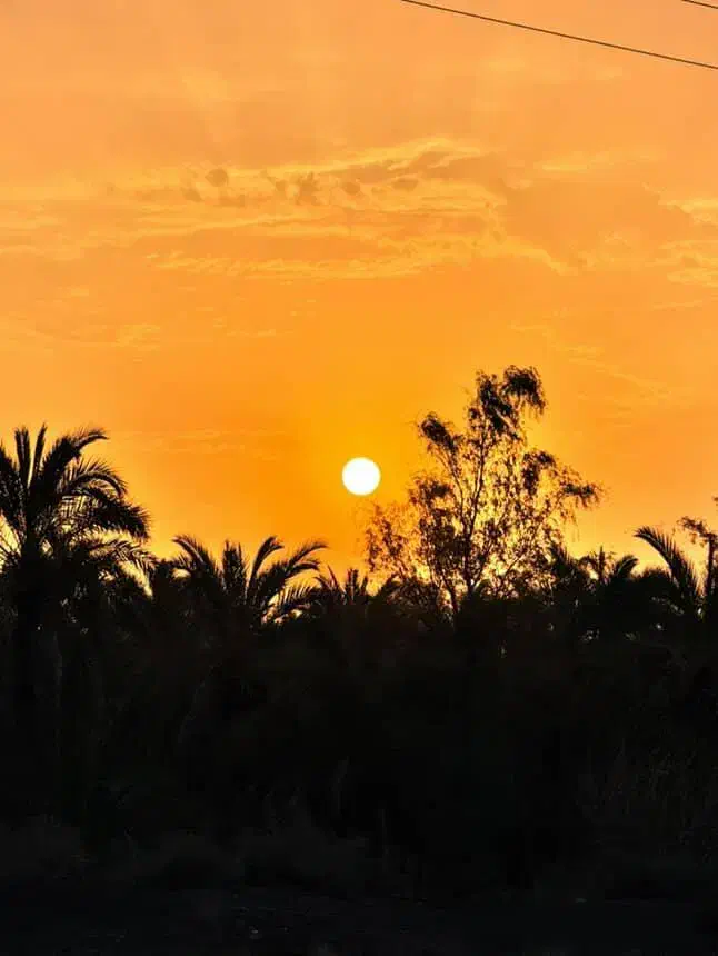 زمین تجاری مسکونی|فروش زمین و ملک کلنگی|رودبار (کرمان), |دیوار