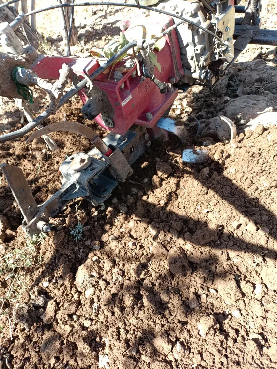 کار کشاورزی|خدمات باغبانی و درختکاری|زرند, |دیوار