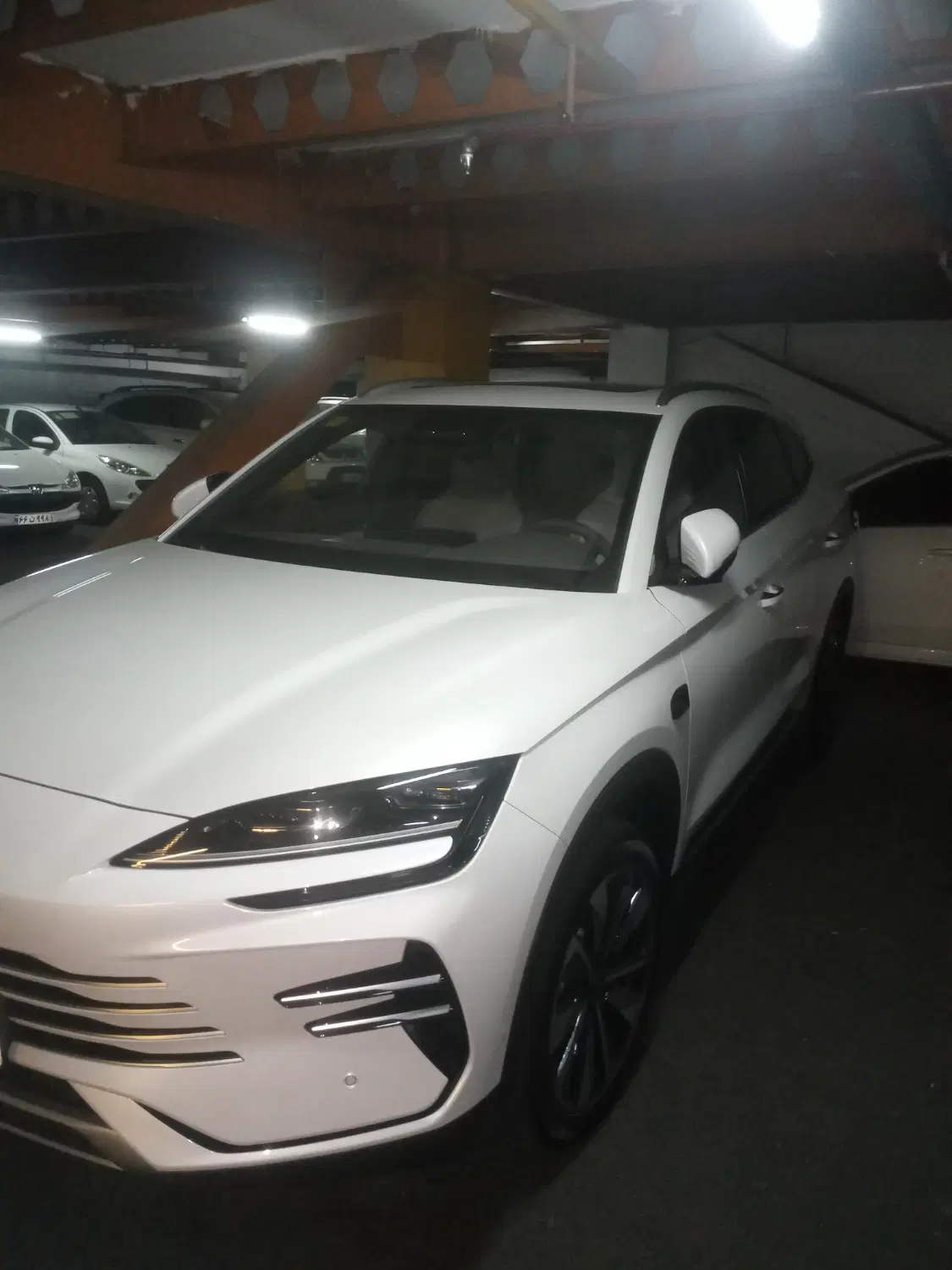 BYD|خودرو سواری و وانت|تهران, اباذر|دیوار