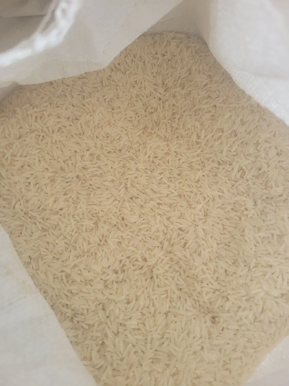 برنج هاشمی|خوردنی و آشامیدنی|رشت, جانبازان|دیوار