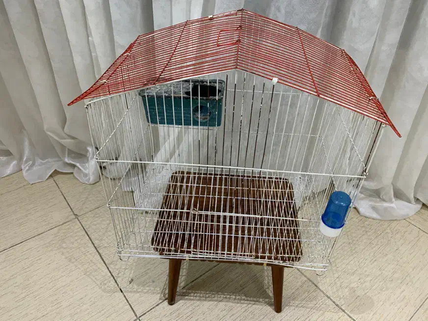 قفس پرنده|لوازم جانبی حیوانات|قدس, شهر‌قدس|دیوار