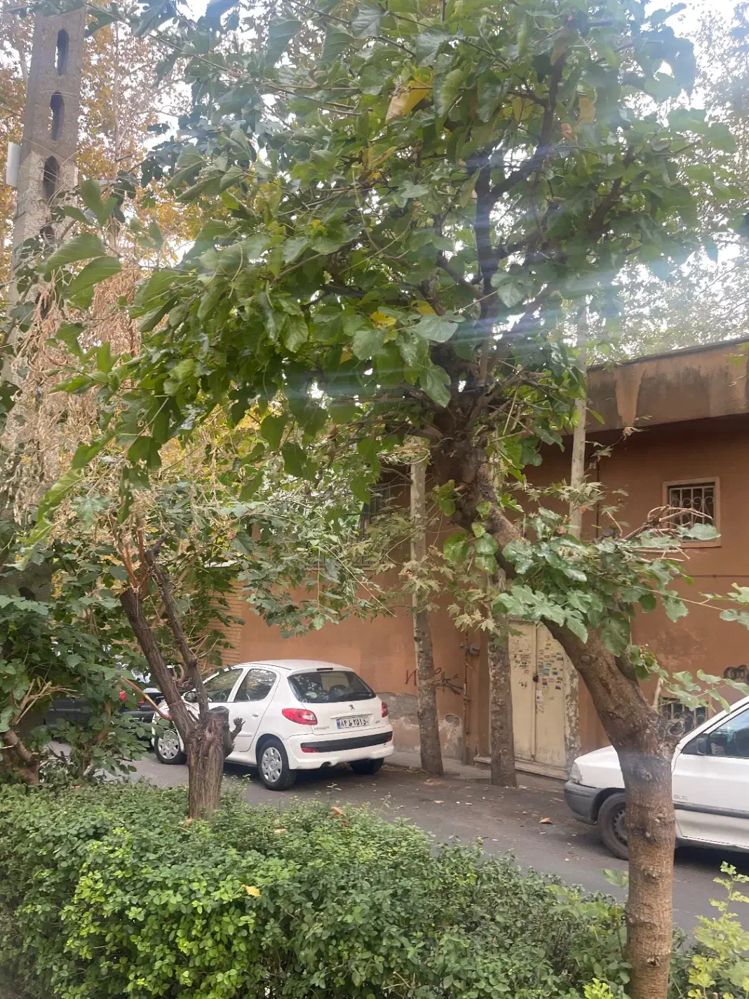 کلنگی ۶۸۰ متری جنوبی در کامرانیه شمالی|فروش زمین و ملک کلنگی|تهران, کامرانیه|دیوار