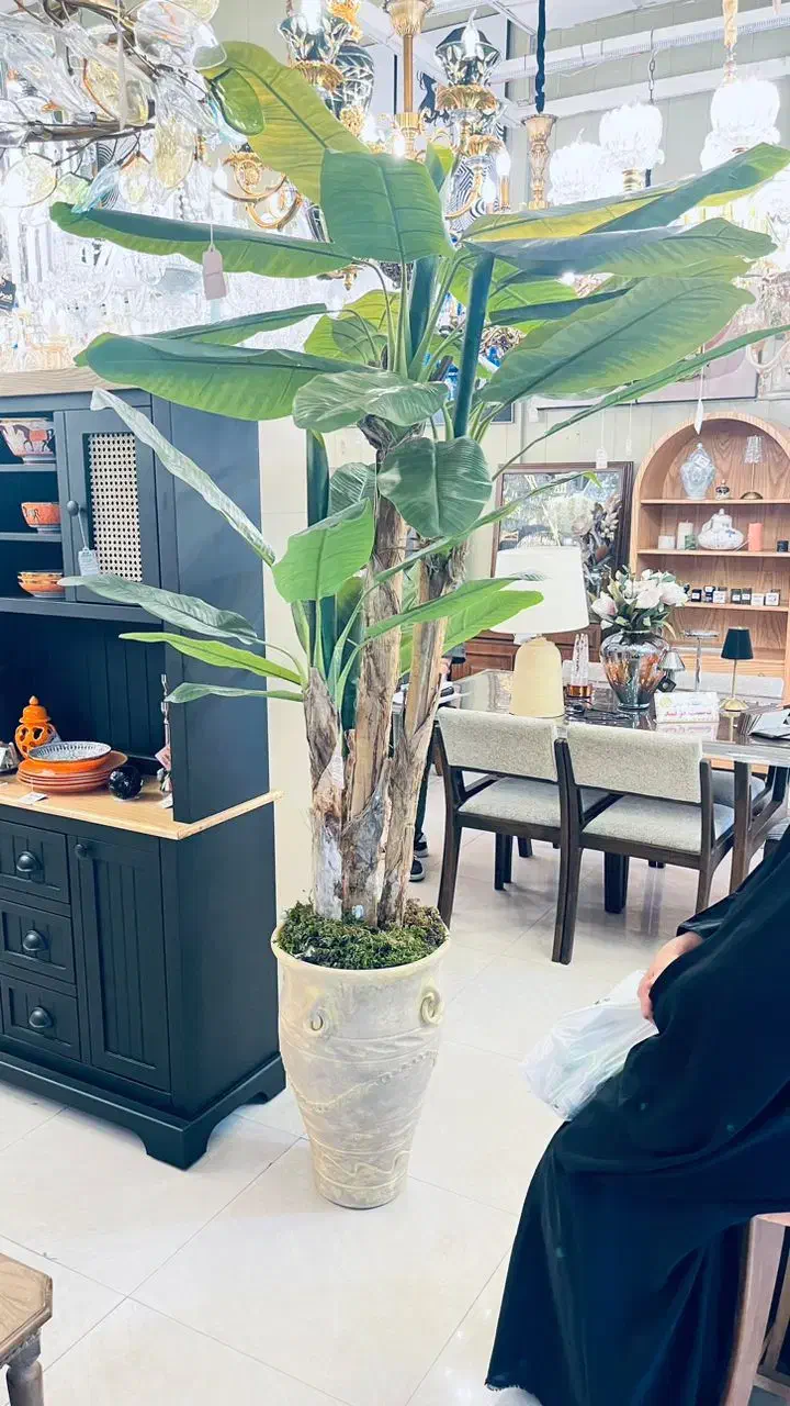 درختچه ‌۲متری|گل مصنوعی|اهواز, زیتون کارگری|دیوار