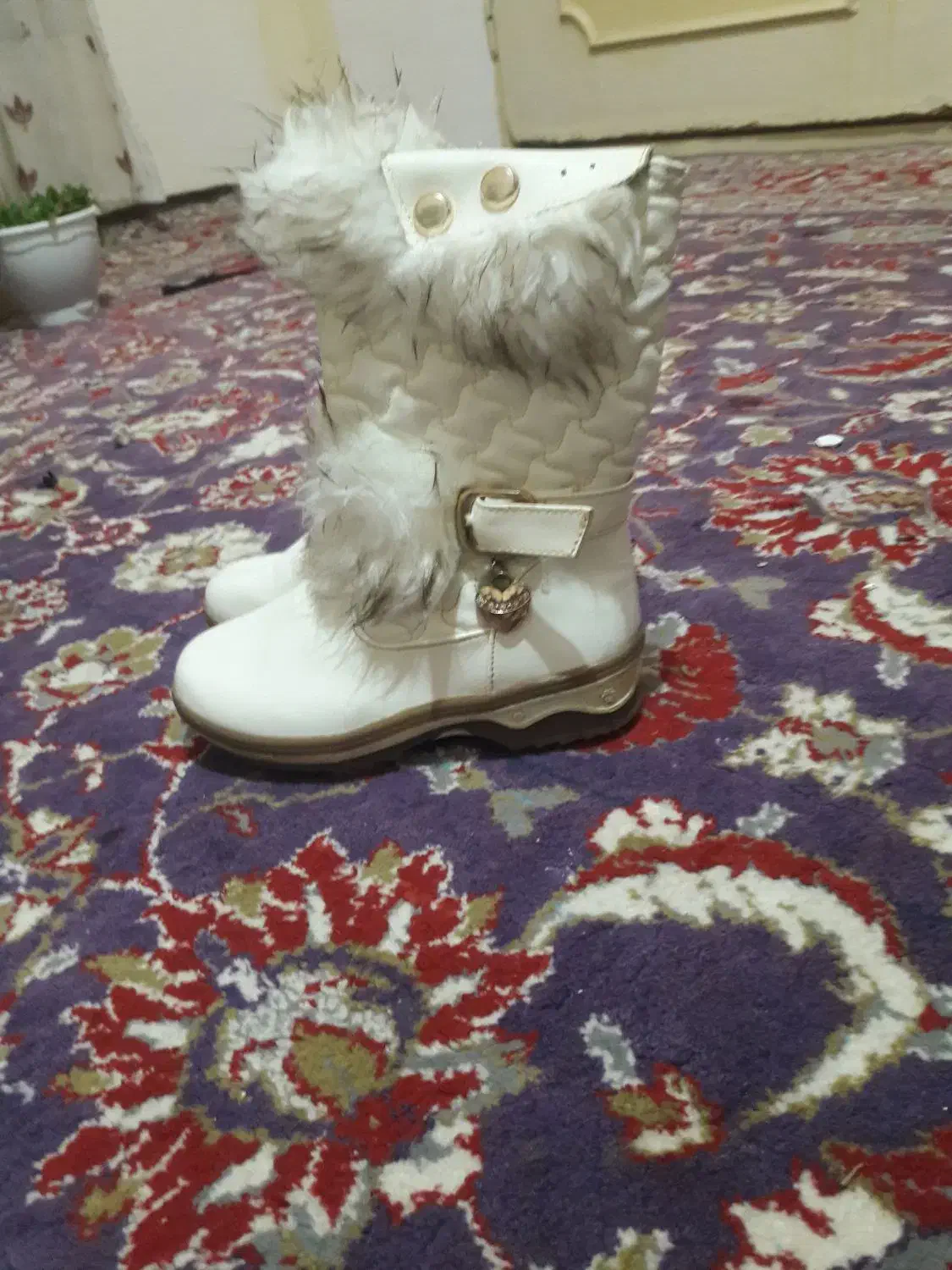 کفش در حد نو فقط یکیش استفاده نشده آک|کیف، کفش، کمربند|تربت‌حیدریه, حیدرآباد|دیوار