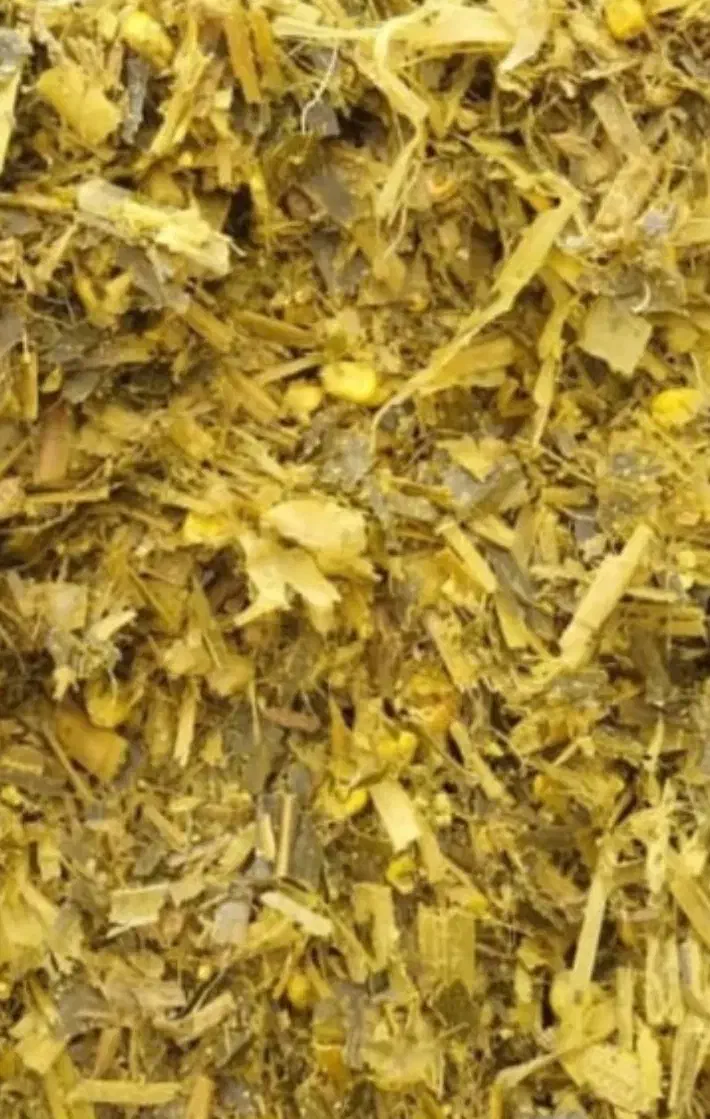 ذرت علوفه ای|عمدهفروشی|میلاجرد, |دیوار