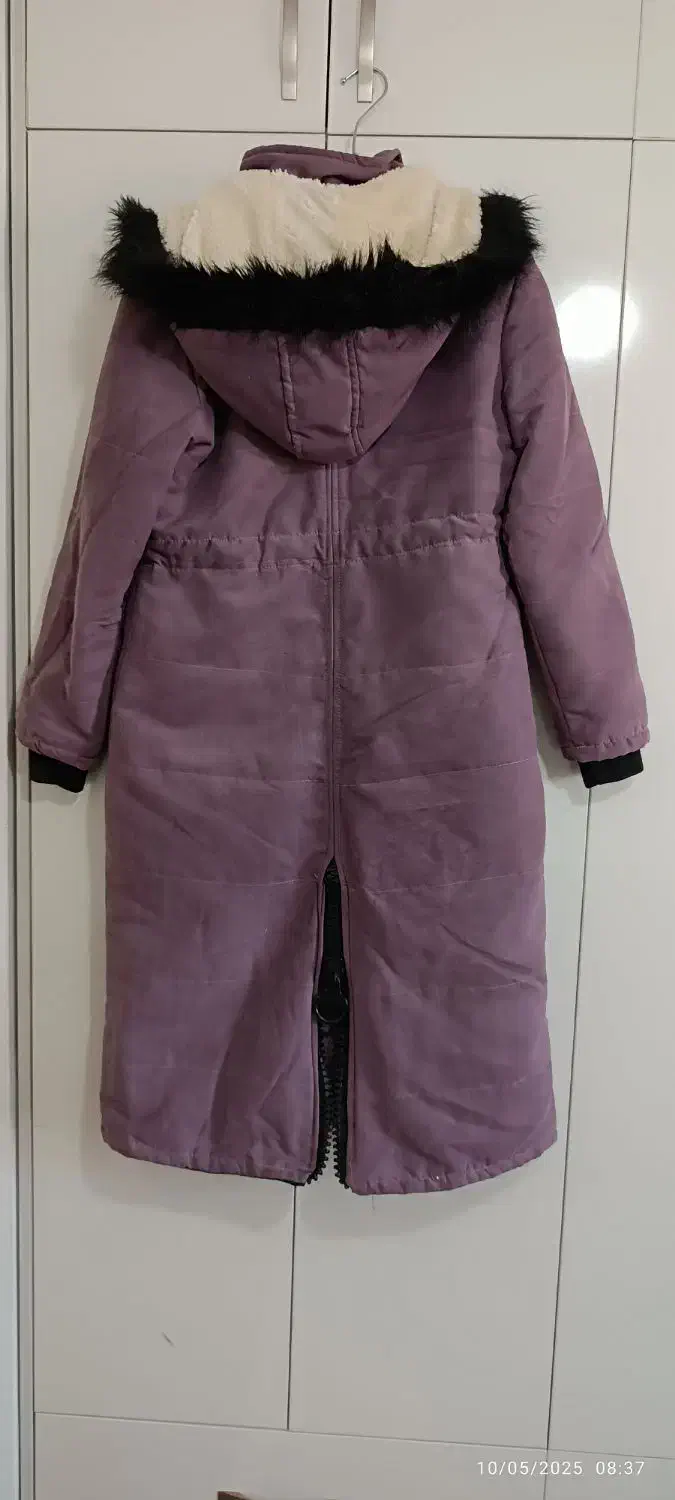 پالتو نو زنانه|لباس|سنندج, |دیوار