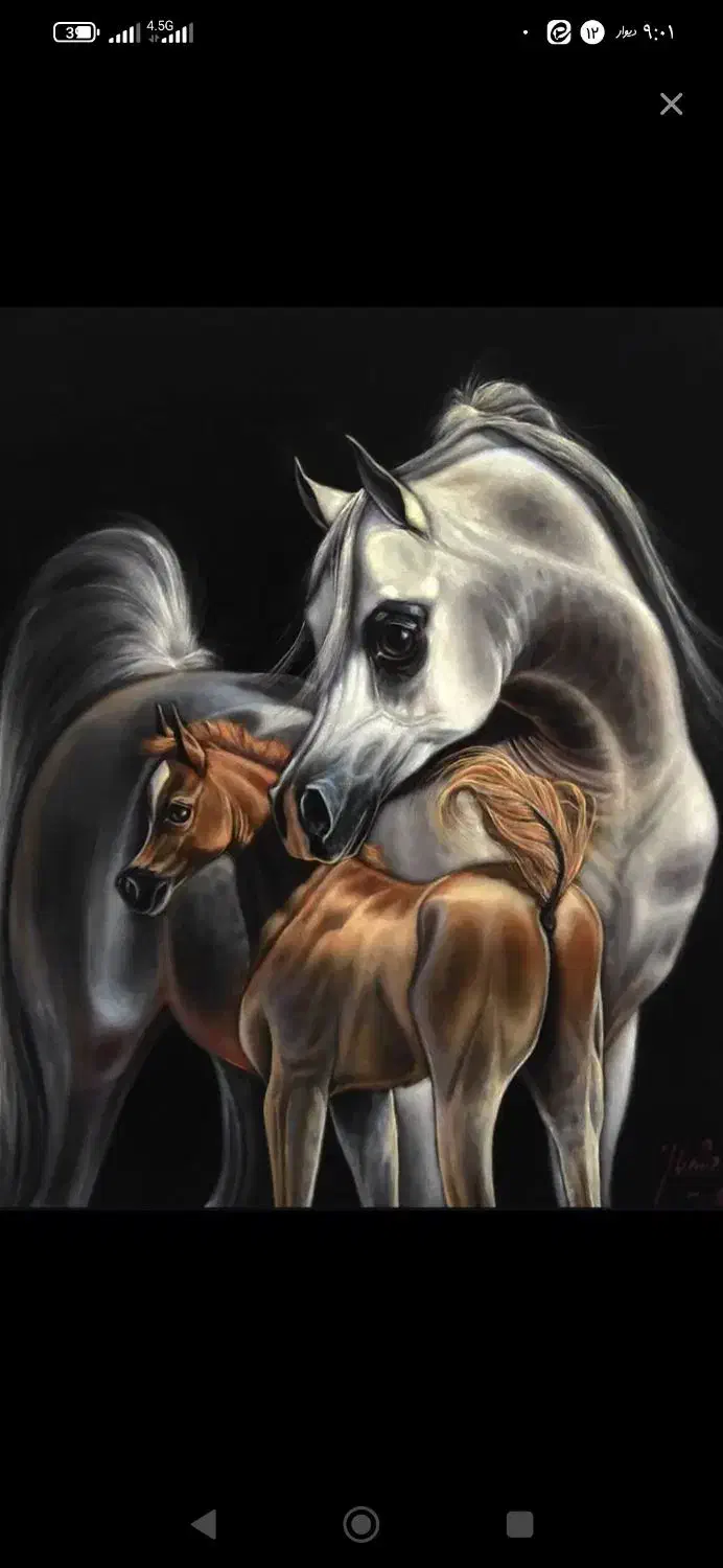 دوتا اسب|اسب و تجهیزات اسب‌سواری|میانه, |دیوار